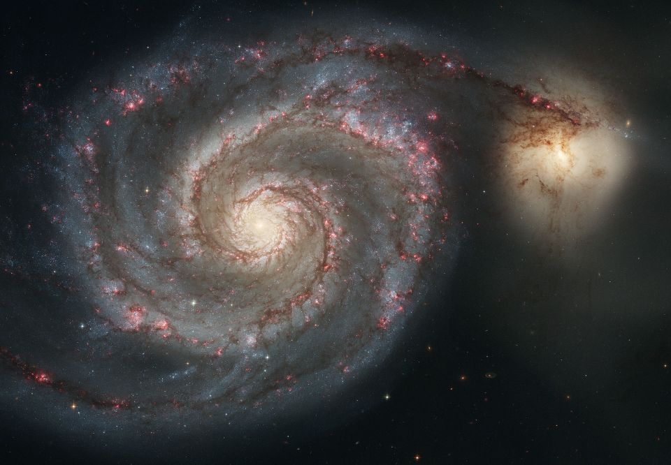 Unbarred spiral galaxy 