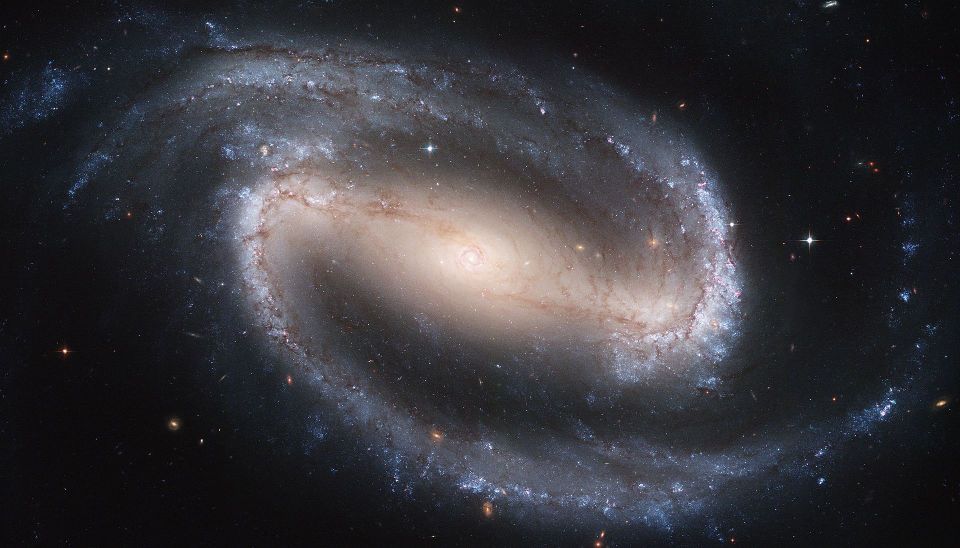 Barred Spiral Galaxy 