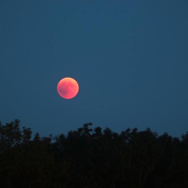 Why Does The Moon Look Orange EXPLAINED Scope The Galaxy
